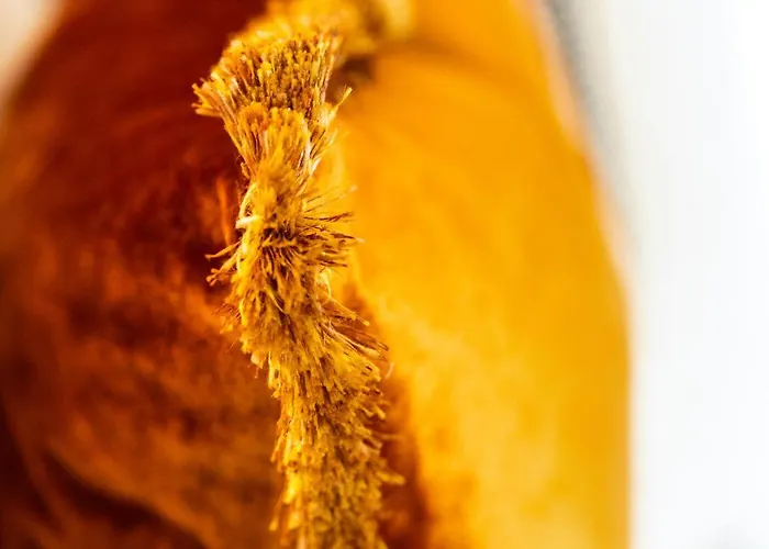 The Snug Townhouse Hotel