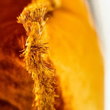 The Snug Townhouse Ξενοδοχείο